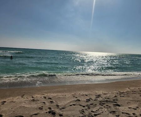 Turtle Beach Campground