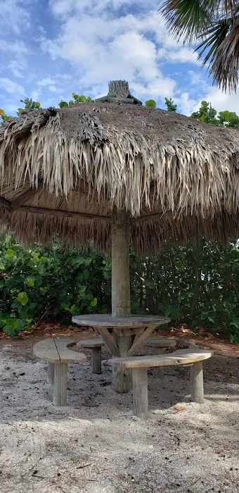 Turtle Beach Campground Picture 8