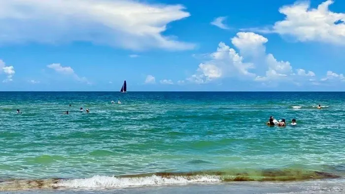 Turtle Beach Campground Picture 6