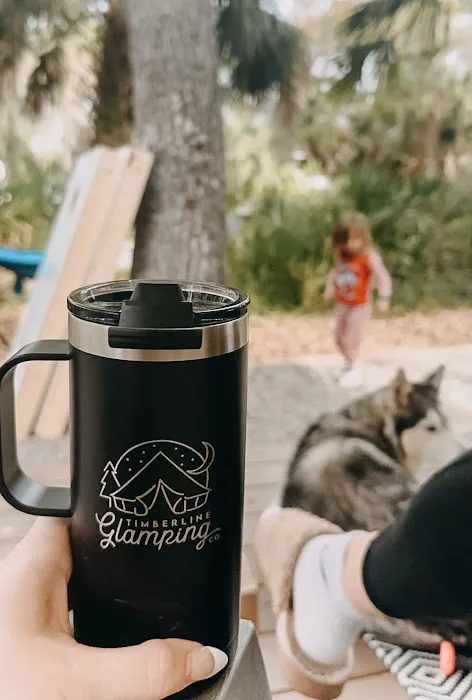 Timberline Glamping Sarasota Picture 5