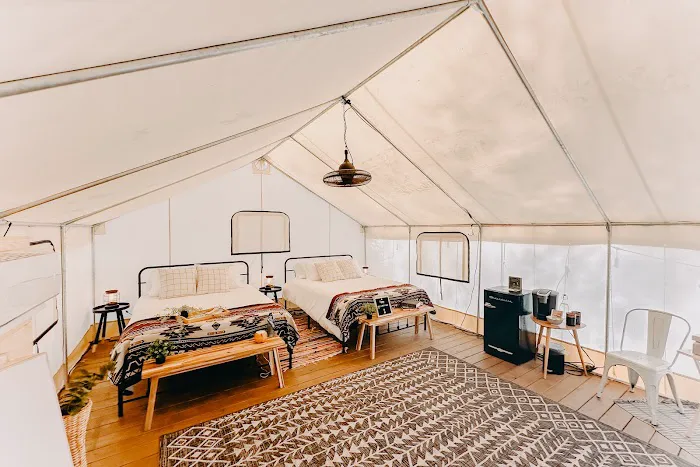 Timberline Glamping Sarasota Picture 6
