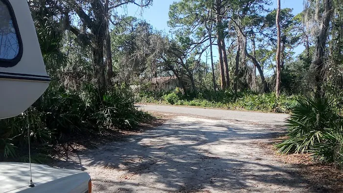 Oscar Scherer State Park Campground Picture 7