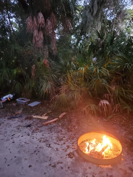 Oscar Scherer State Park Campground Picture 9