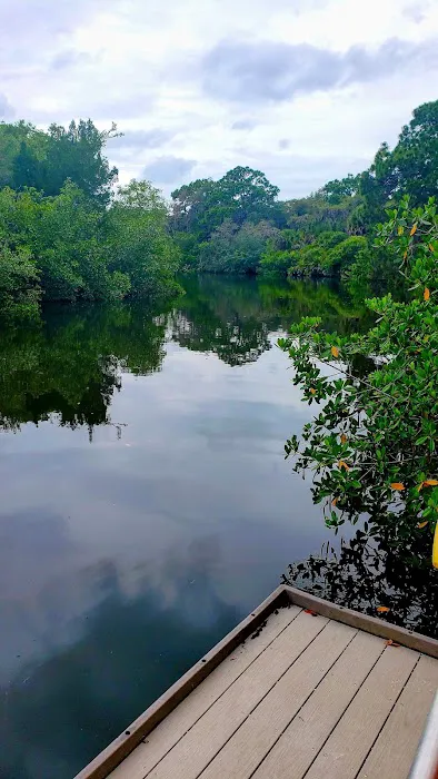 Oscar Scherer State Park Campground Picture 6