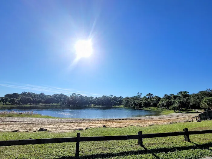 Oscar Scherer State Park Campground Picture 8