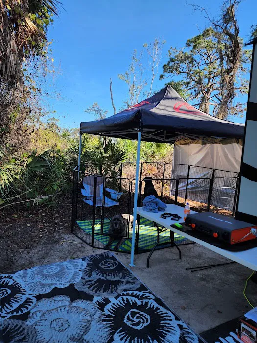 Oscar Scherer State Park Campground Picture 10