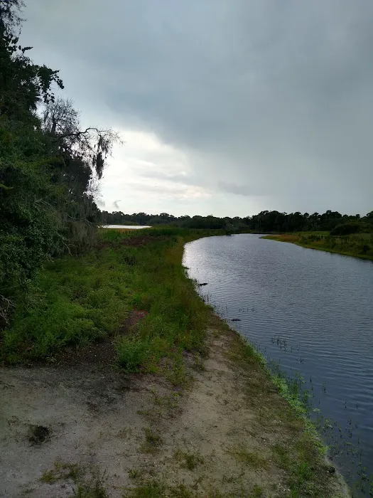 Myakka River State Park Campfire Circle Picture 9