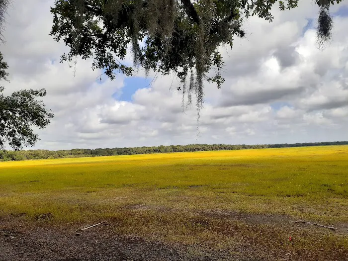 Myakka River State Park Youth Camp Picture 3
