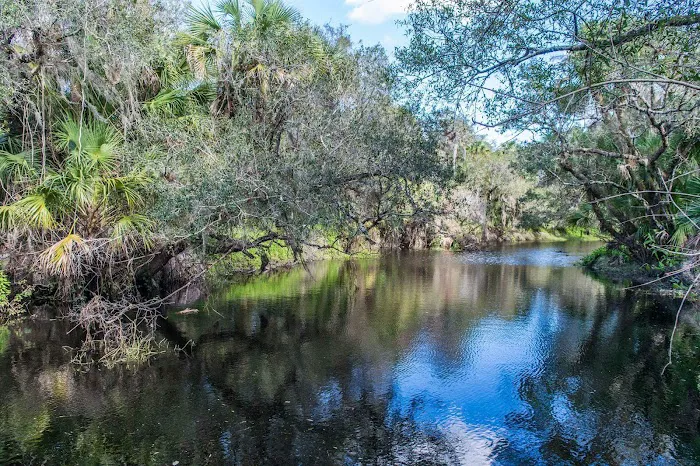 Myakka River State Park Youth Camp Picture 9