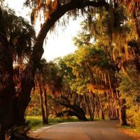 Myakka River State Park Youth Camp ico