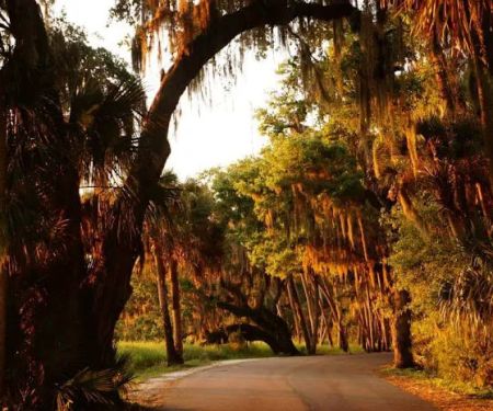 Myakka River State Park Youth Camp