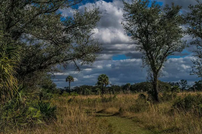 Myakka River State Park Youth Camp Picture 8