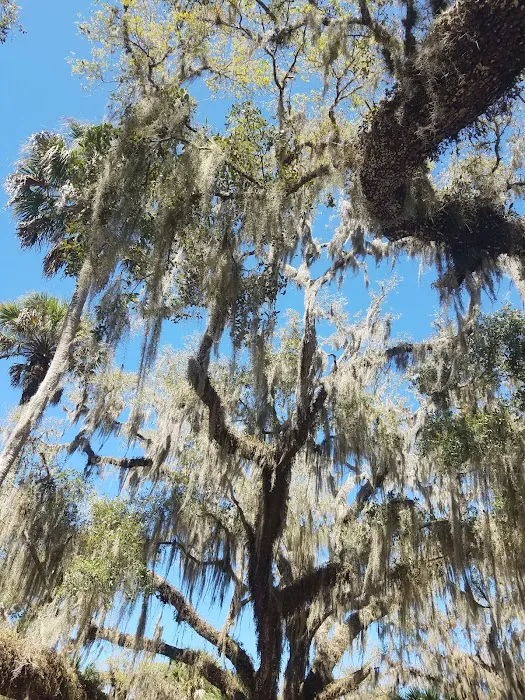 Myakka River State Park Youth Camp Picture 10