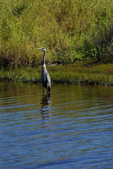 Myakka River State Park Youth Camp Picture 7
