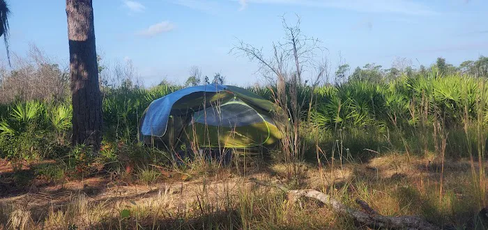 Bee Island Primitive Campsite Picture 6