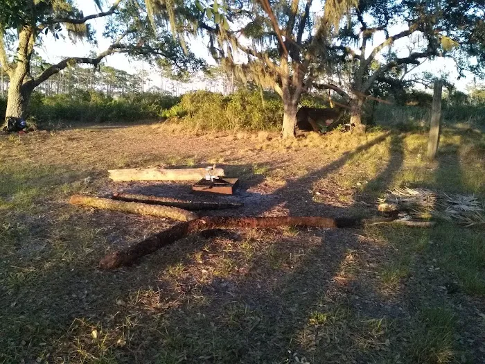 Bee Island Primitive Campsite Picture 7