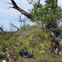 Bee Island Primitive Campsite ico