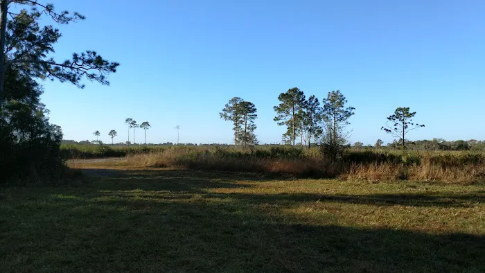 Myakka River State Park Horse Camp Picture 1