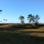Myakka River State Park Horse Camp