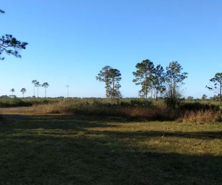 Myakka River State Park Horse Camp