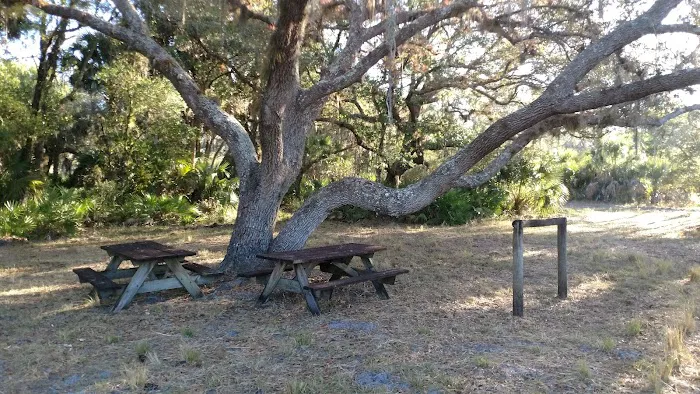 Myakka River State Park Horse Camp Picture 4