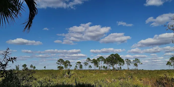 Honore Primitive Campsites Picture 4