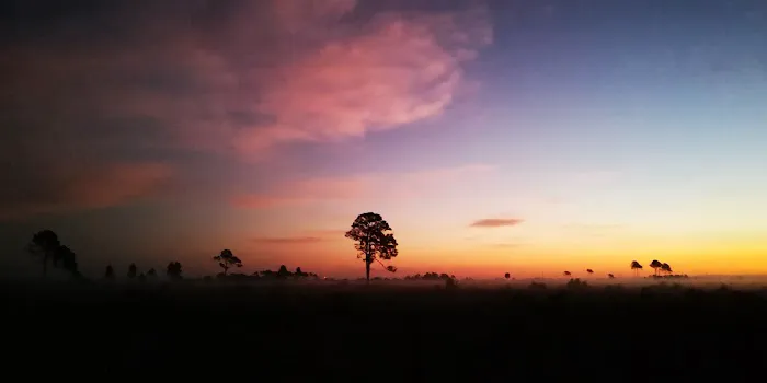 Honore Primitive Campsites Picture 1