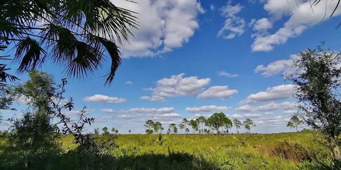 Honore Primitive Campsites Picture 2