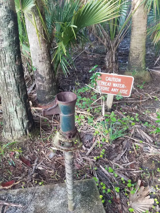 Honore Primitive Campsites Picture 9