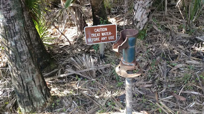 Honore Primitive Campsites Picture 6