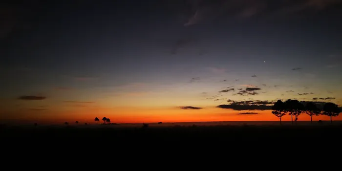 Honore Primitive Campsites Picture 3