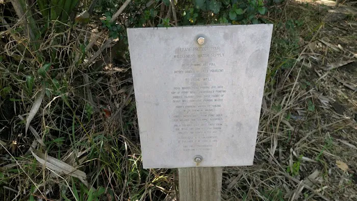 Honore Primitive Campsites Picture 7