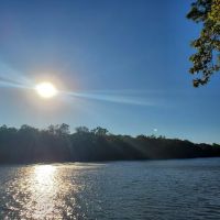 Live Oak Landing ico