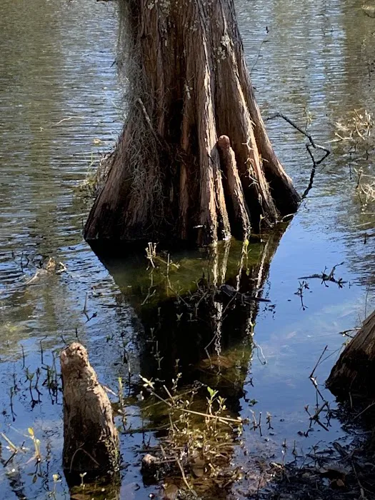 Live Oak Landing Picture 4