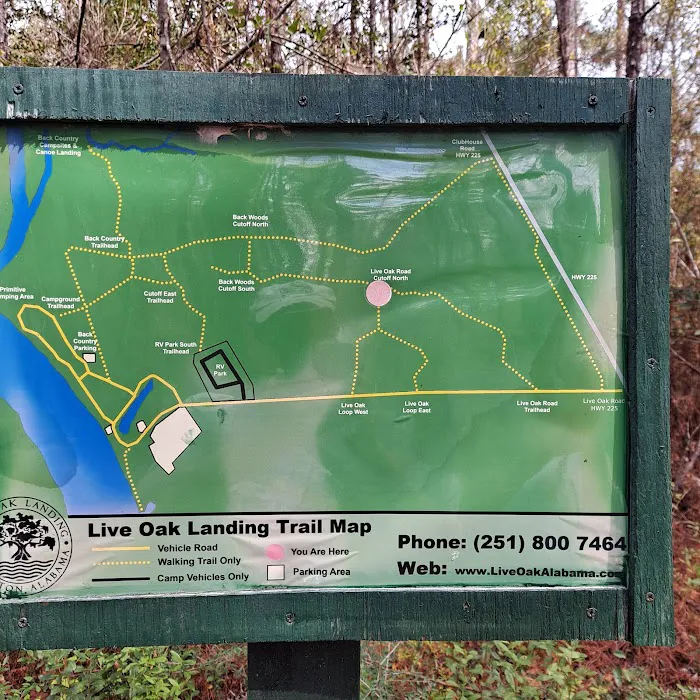 Live Oak Landing Picture 7