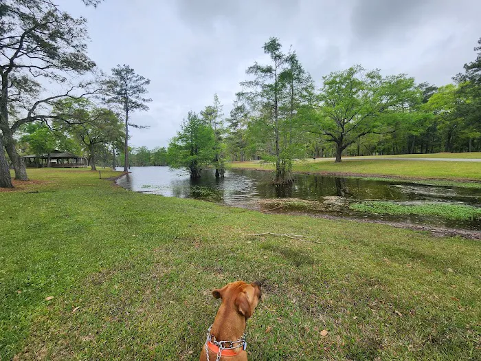 Live Oak Landing Picture 8