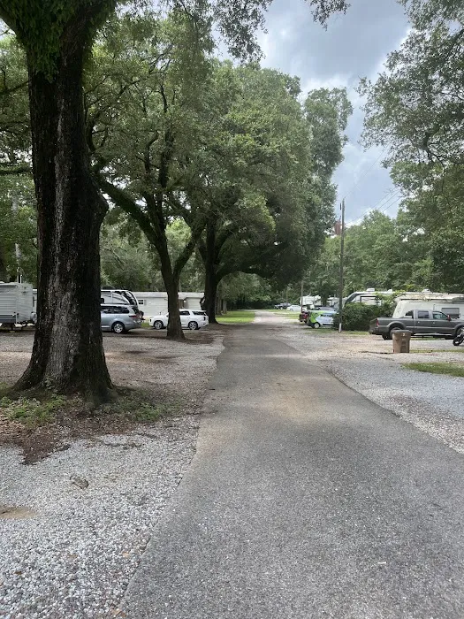 Shady Acres Campground Picture 7