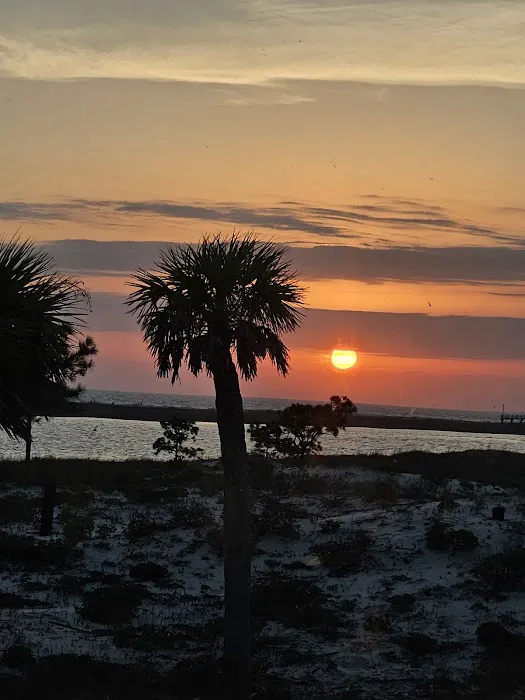 Dauphin Island Campground Picture 5