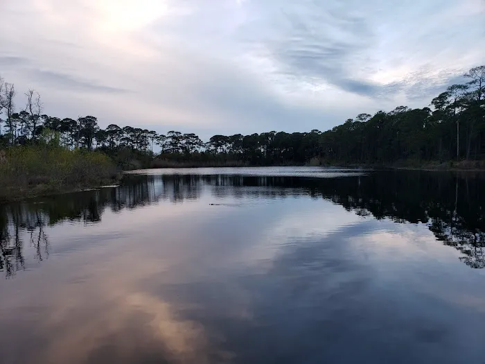 Dauphin Island Campground Picture 4