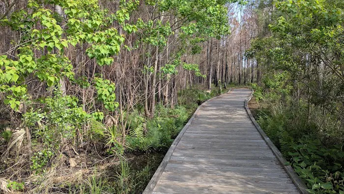 Dauphin Island Campground Picture 2