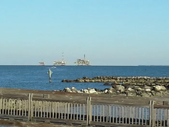 Dauphin Island Campground Picture 6