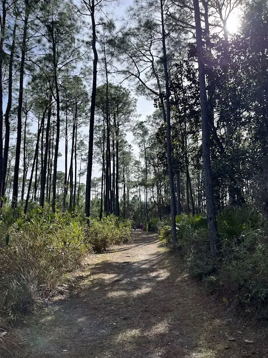 Dauphin Island Campground Picture 7