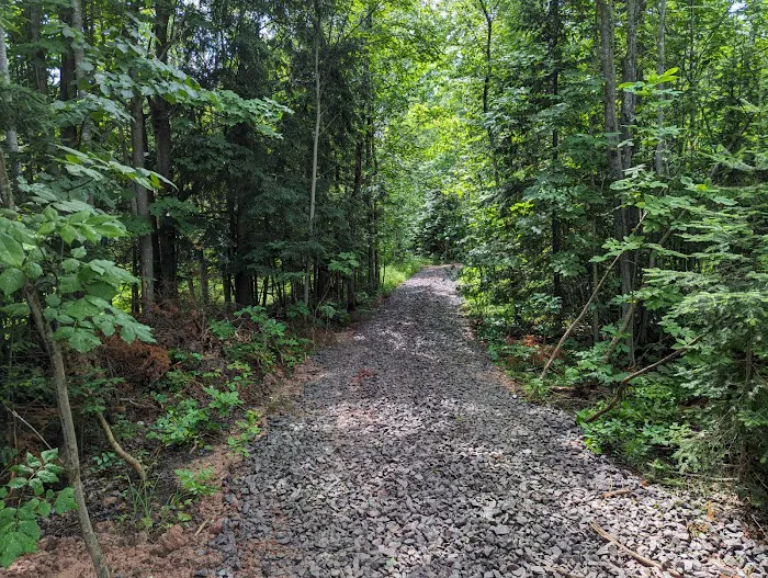 Pure Air Paradise Picture 2