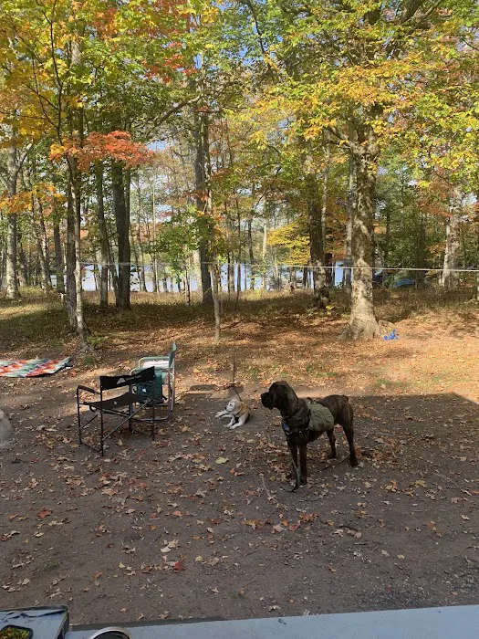 Perrault Lake Campground Picture 10