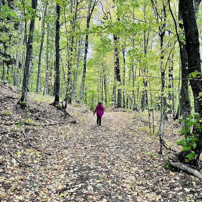 Perrault Lake Campground Picture 9