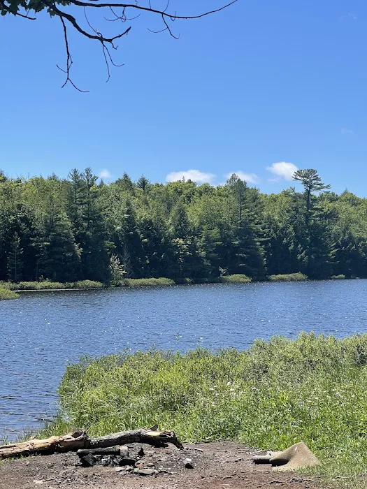 Perrault Lake Campground Picture 3