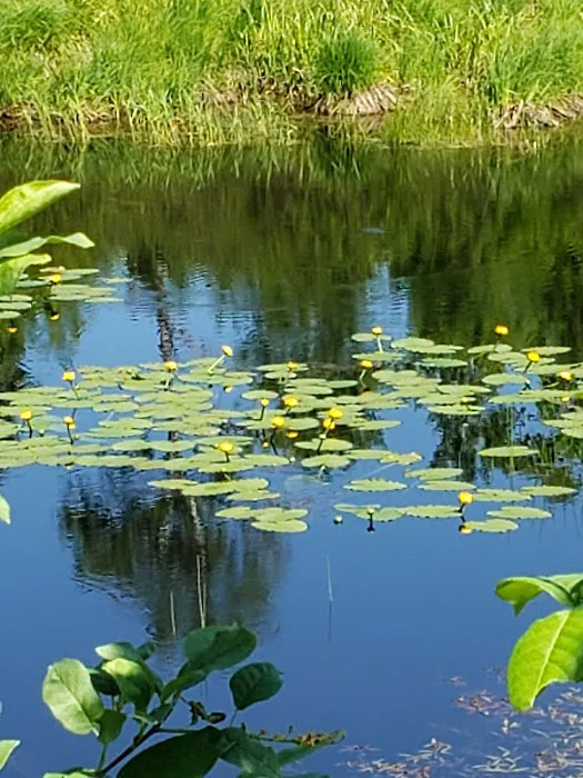 Bergland Township Park Picture 8