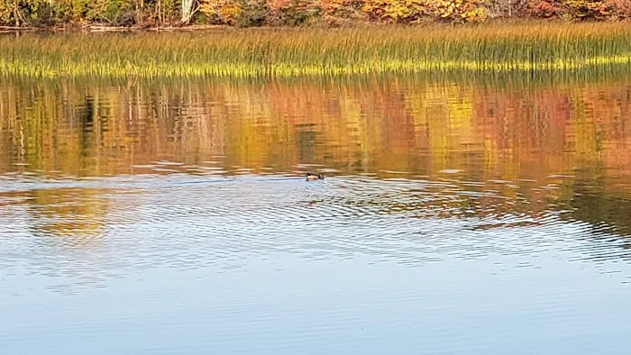 Bergland Township Park Picture 4