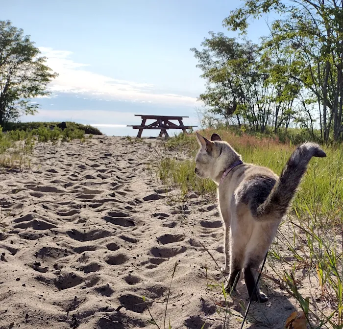 Schoolcraft Township Park Picture 8