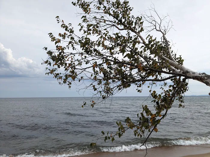 Schoolcraft Township Park Picture 1